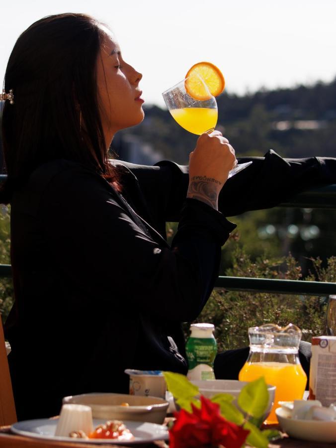 Palace Hotel E Spa Monte Rio Termas de São Pedro do Sul Eksteriør billede
