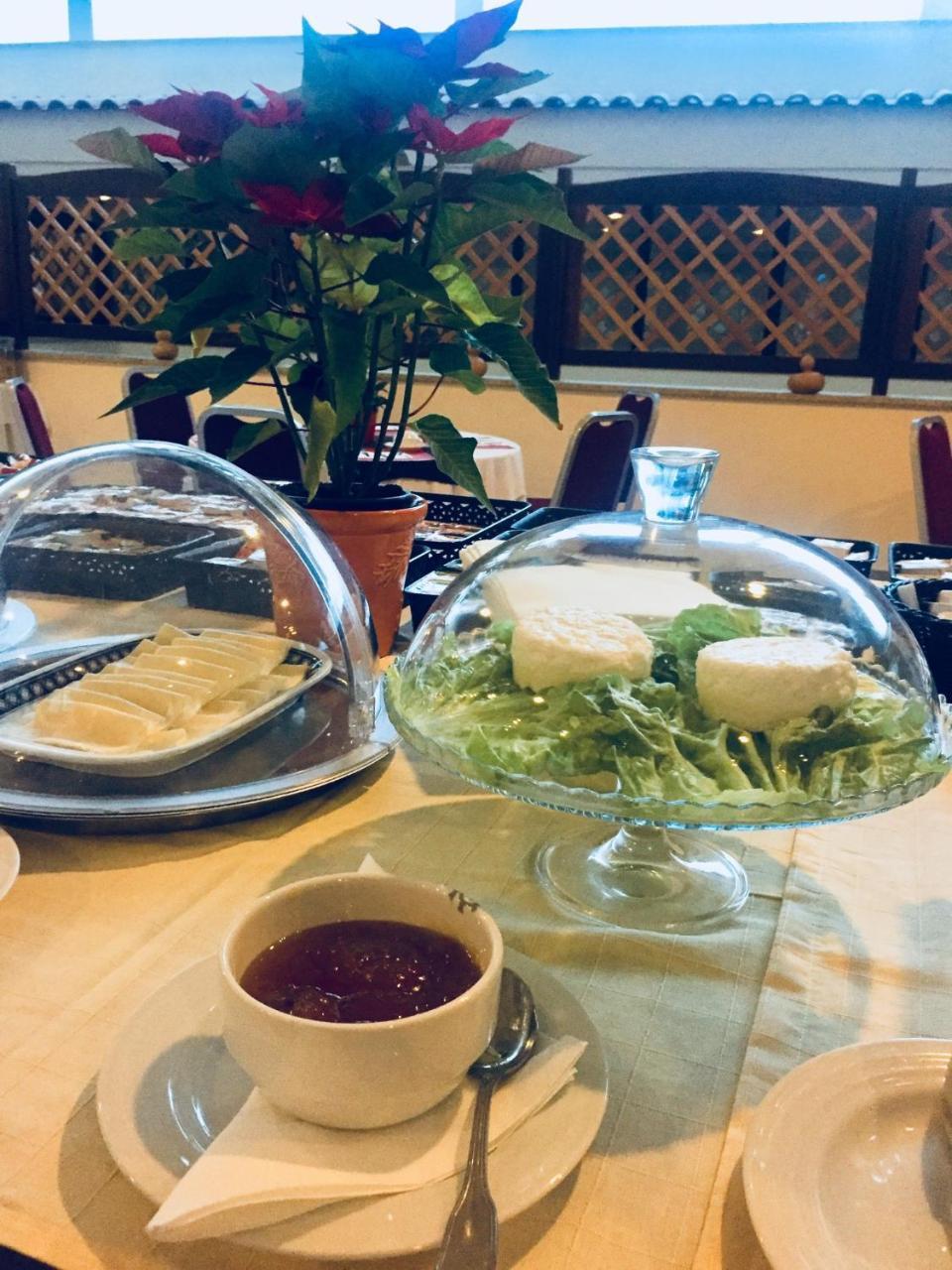 Palace Hotel E Spa Monte Rio Termas de São Pedro do Sul Eksteriør billede